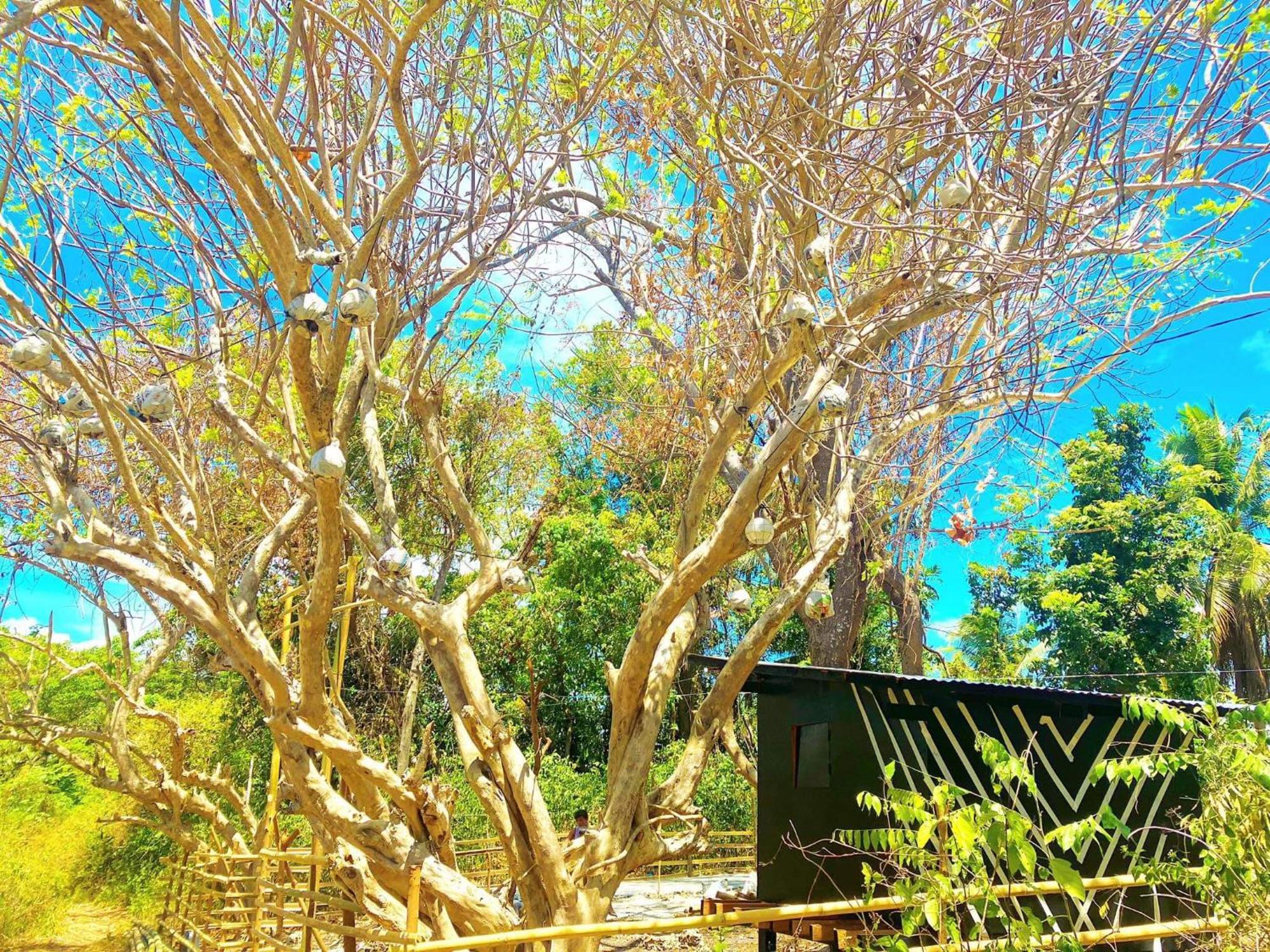 Campsarap Hostel & Resort Valencia  エクステリア 写真