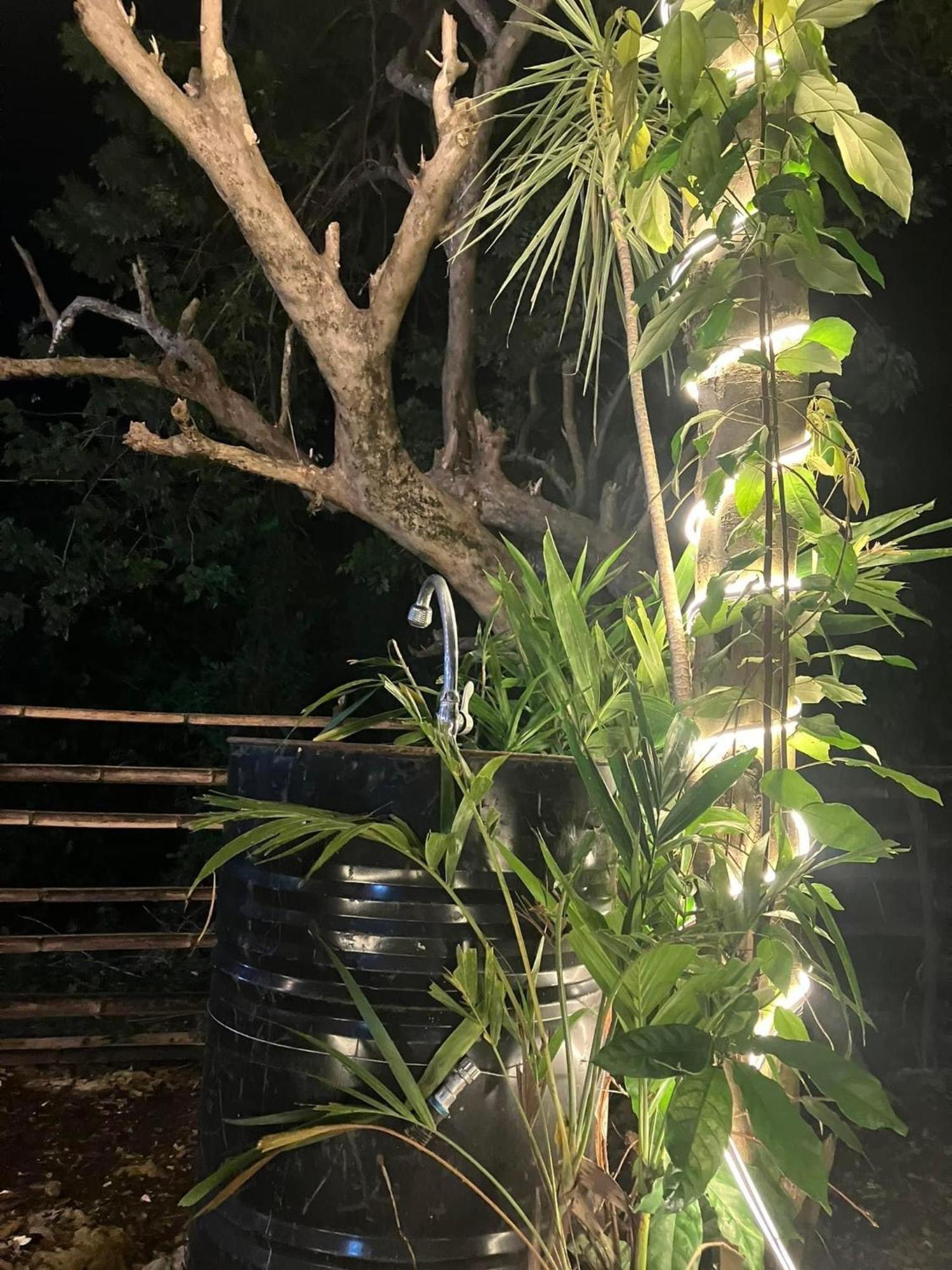 Campsarap Hostel & Resort Valencia  エクステリア 写真