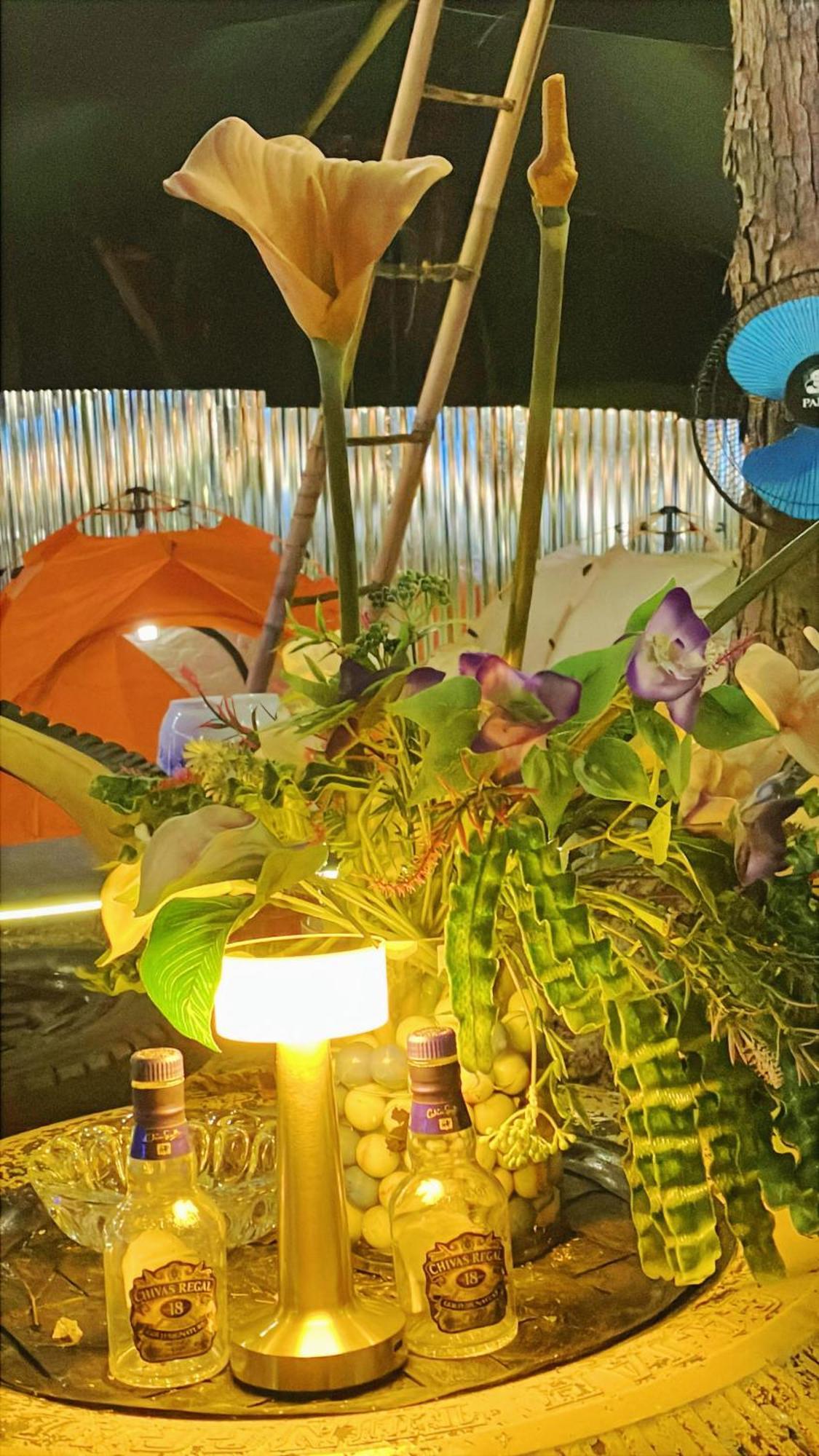 Campsarap Hostel & Resort Valencia  エクステリア 写真