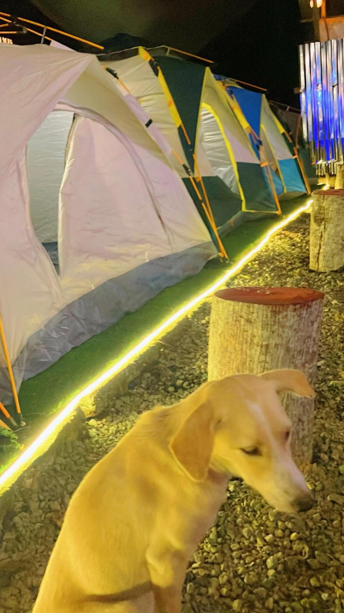 Campsarap Hostel & Resort Valencia  エクステリア 写真